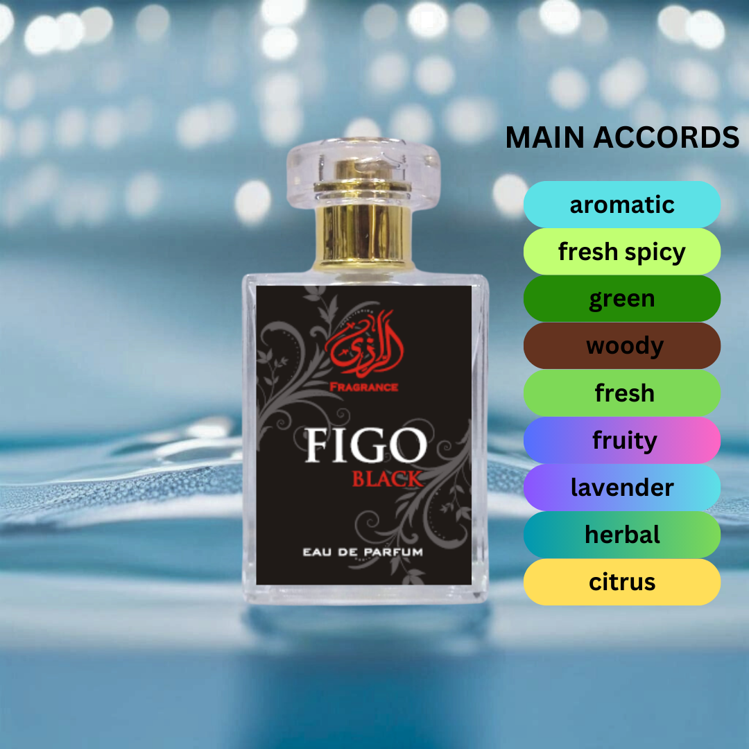 FIGO BLACK -IMPRESSION OF HUGO BOSS
