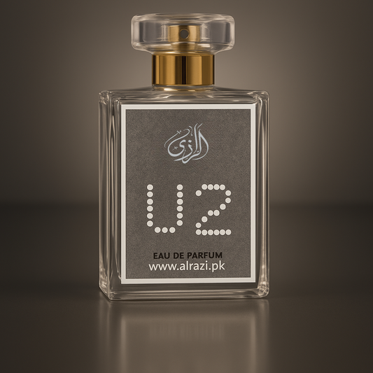 U2 -IMPRESSION OF SAFARI