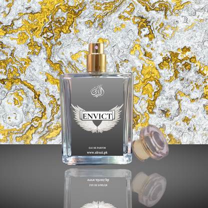 ENVICT - IMPRESSION OF INVICTUS (Paco Rabanne)